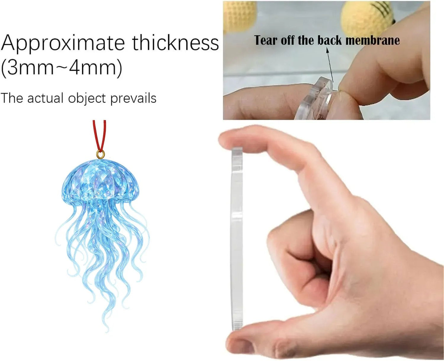 Ocean Advent Calendar 2025 – 24 Days of Undersea Wonders