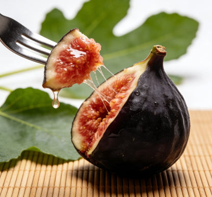 Mission Fig Tree Live Plant Seeds – Easy to grow on your porch and balcony at home