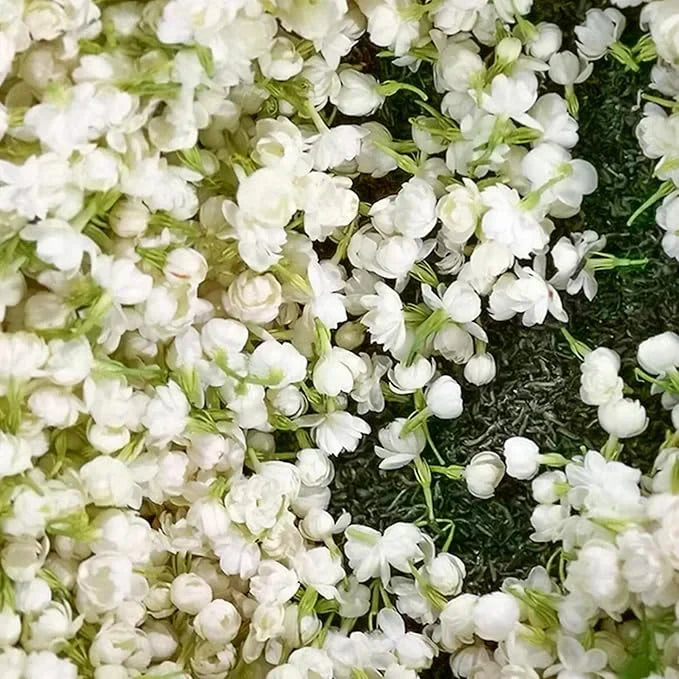 Beautiful Jasmine Potted Plant(Can be planted in winter)