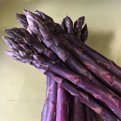 🌿Grow Fresh Asparagus at Home🥗 — Harvest for Years