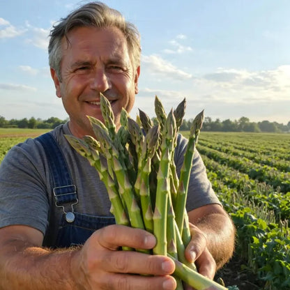 🌿Grow Fresh Asparagus at Home🥗 — Harvest for Years