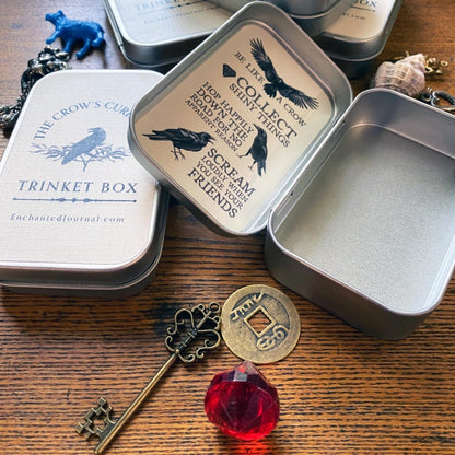 DIY Crow Surprise Box