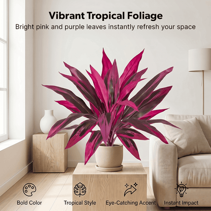 Artificial Boston Fern & Dragon's Blood Tree Plants
