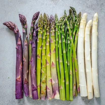🌿Grow Fresh Asparagus at Home🥗 — Harvest for Years