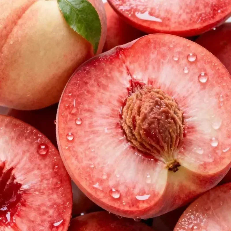 🍑 Rare Honey Red Dwarf Peach Seed Kit | Sweet & Juicy Fruit for Your Home Orchard🏡