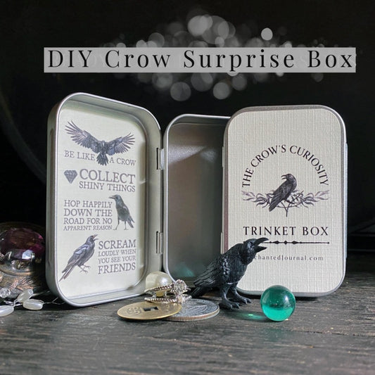 DIY Crow Surprise Box